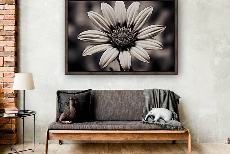 Opulent – Monochrome Daisy Medallion Art Print by Savage Art Prints