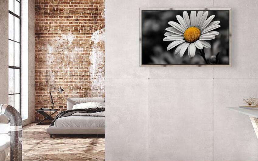 Serendipitous – Dew-Kissed Daisy Monochrome Art Print by Savage Art Prints