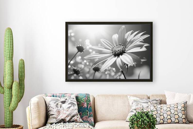 Whispers of the Sun – Minimal Daisy Art Print by Savage Art Prints