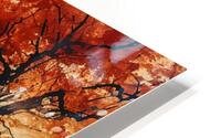 Embers Of Autumn - Modern Floral Field Art Prints HD Metal print