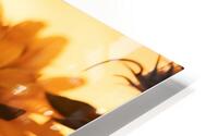 Golden Haze – Radiant Sunflower Morning Print Impression metal HD