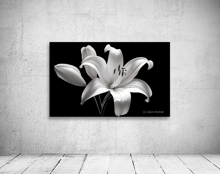 Lily Of The Light - Monochrome Lily Floral Art Prints Wall Preview