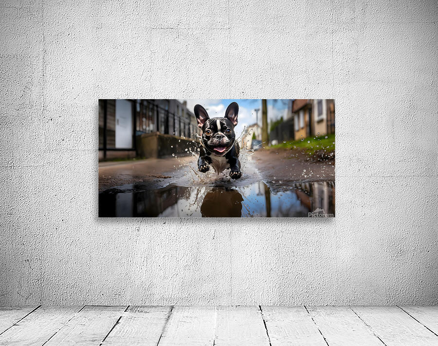 Joy Unleashed - French Bulldog Splash Art Prints Wall Preview