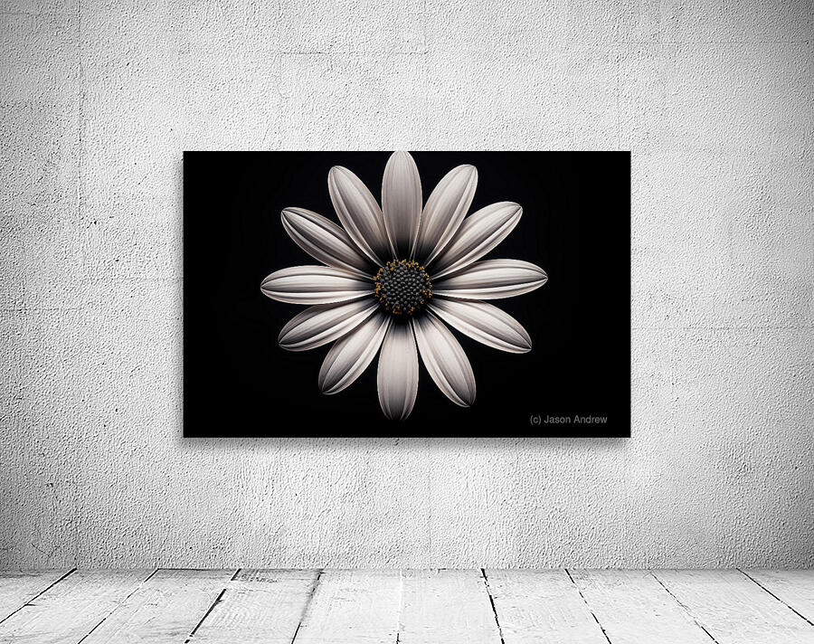 Beaute Impeccable - Impeccable Beauty - Pop Surreal Portrait Art Prints Wall Preview