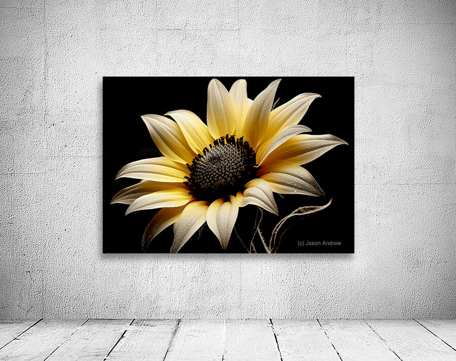 Petal Perspective 48 - Macro Floral Art Prints Wall Preview
