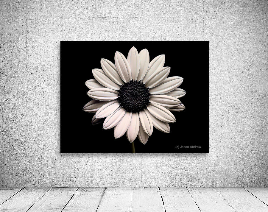 Petal Perspective 31 - Macro Floral Art Prints Wall Preview