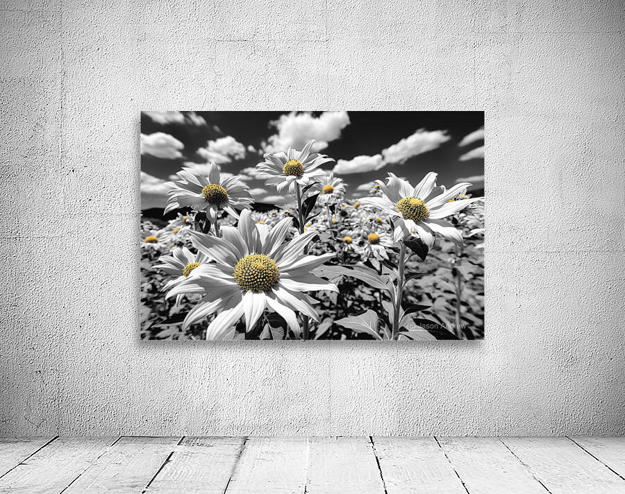 Motion Blur - Abstract Floral Motion Art Prints Wall Preview