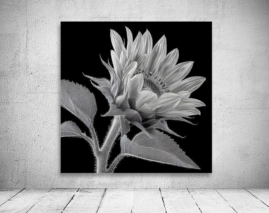 Sunflower Selfie 8 - Sunflower Portrait Art Prints Wall Preview