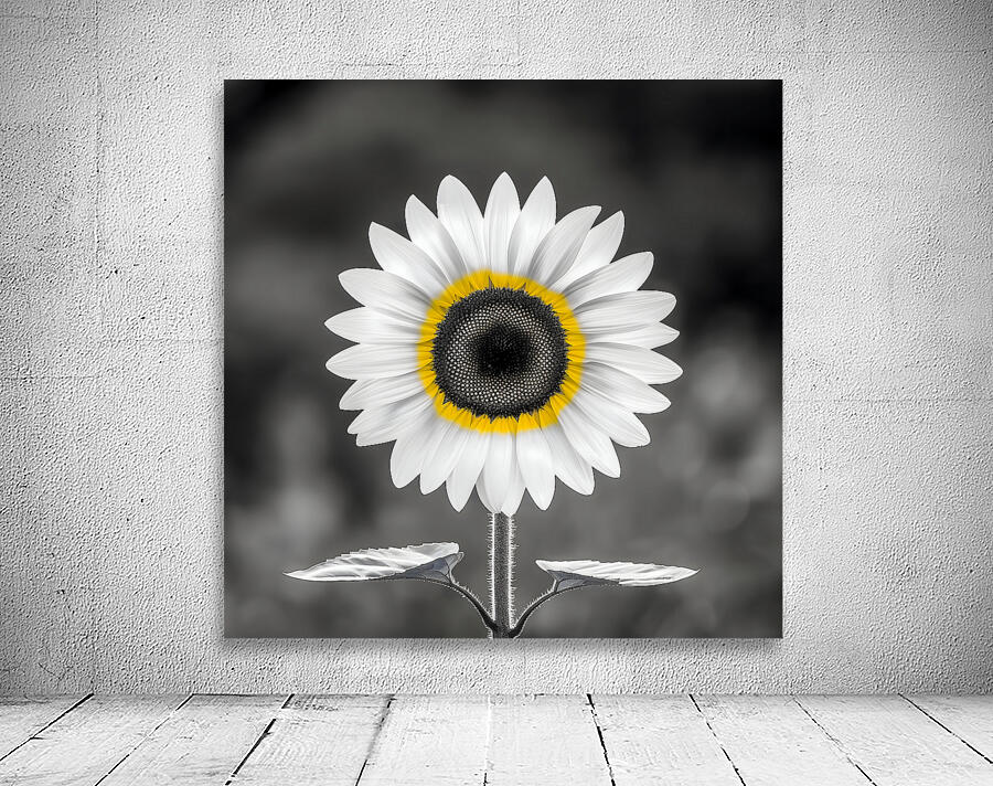 Sunflower Selfie 12 - Sunflower Portrait Art Prints Wall Preview