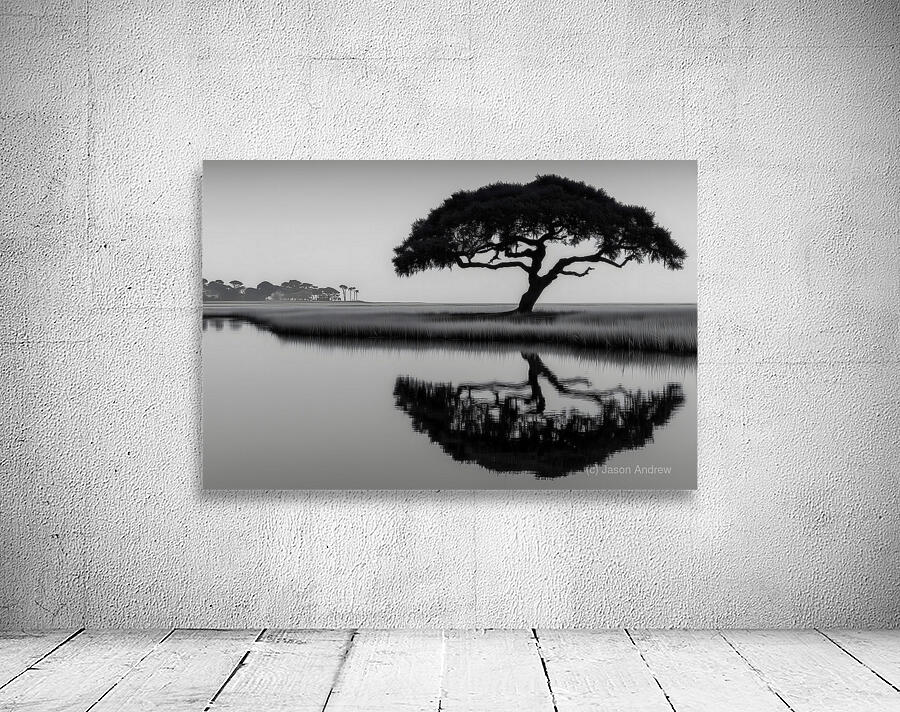 Solitude - Monochrome Landscape Art Prints Wall Preview