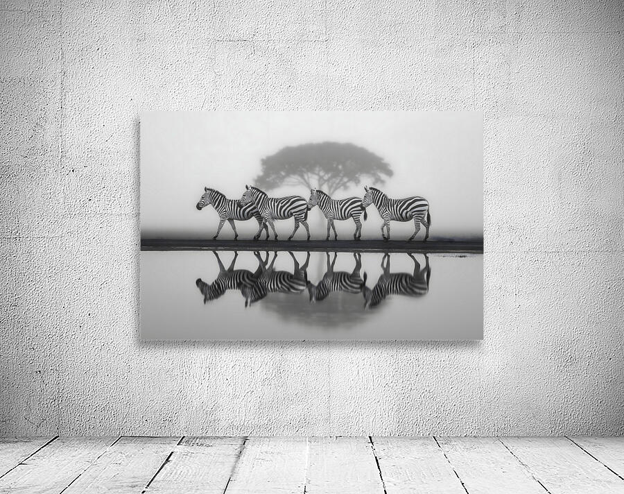 Led Beside Still Waters - Monochrome Landscape Art Prints Wall Preview