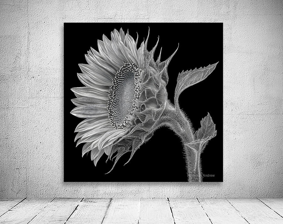 Sunflower Selfie 13 - Sunflower Portrait Art Prints Wall Preview