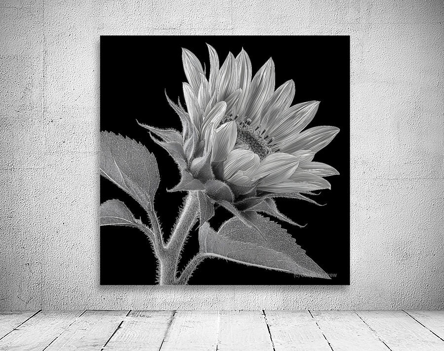 Sunflower Selfie 14 - Sunflower Portrait Art Prints Wall Preview