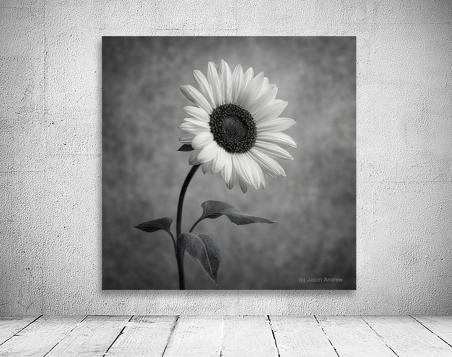 Sunflower Selfie 18 - Sunflower Portrait Art Prints Wall Preview