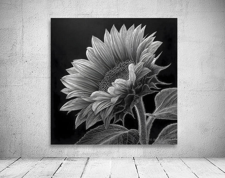 Sunflower Selfie 20 - Sunflower Portrait Art Prints Wall Preview