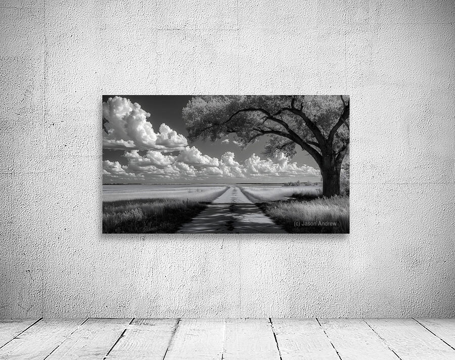 Prairie Road - Monochrome Landscape Art Prints Wall Preview
