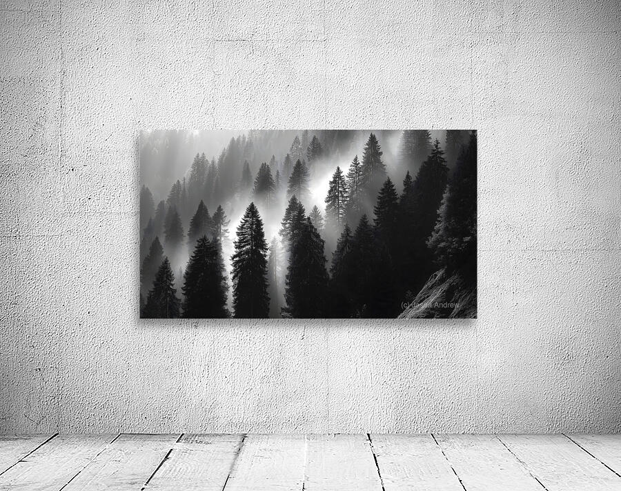 Misty Pine Hillside - Monochrome Landscape Art Prints Wall Preview
