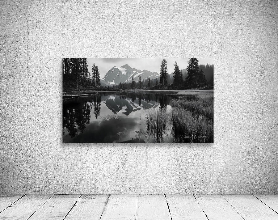 Reflections Of The Wild - Monochrome Landscape Art Prints Wall Preview