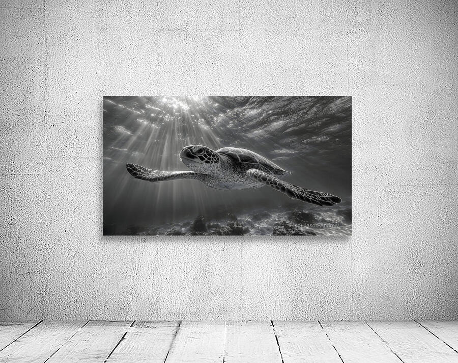 The Slow Path – Minimal Monochrome Art Print Wall Preview