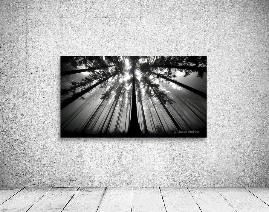 The Vertical Silence – Black & White Landscape Art Print Wall Preview