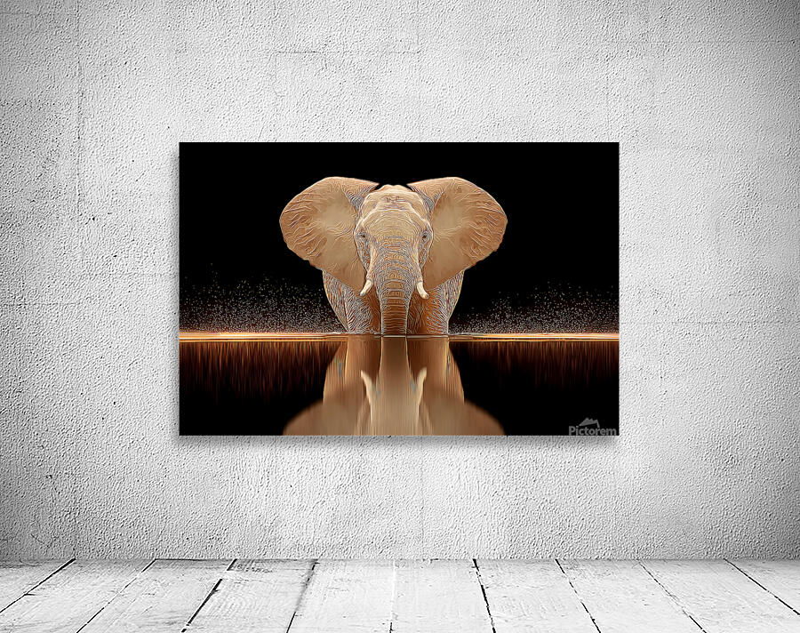 Golden Stillness – Elephant Reflection Print Wall Preview