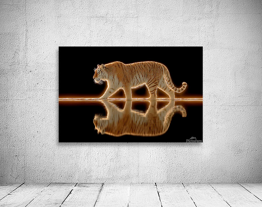 Golden Monarch – Tiger Reflection Print Wall Preview