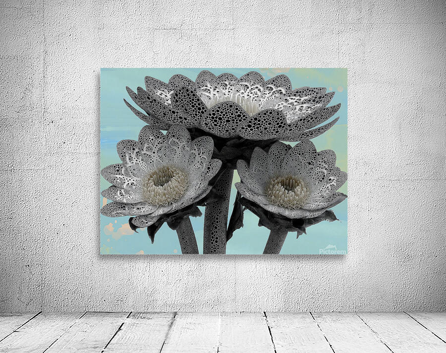 Lace Petal Trio – Modern Lotus Bloom Art Print Wall Preview