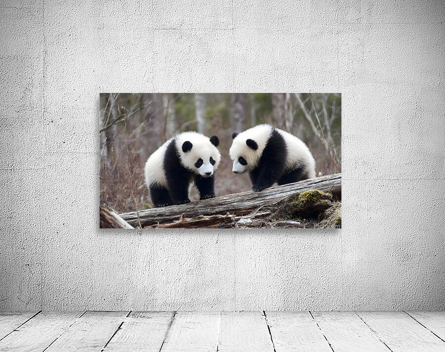 Panda Kin - Wildlife Companions Print Wall Preview