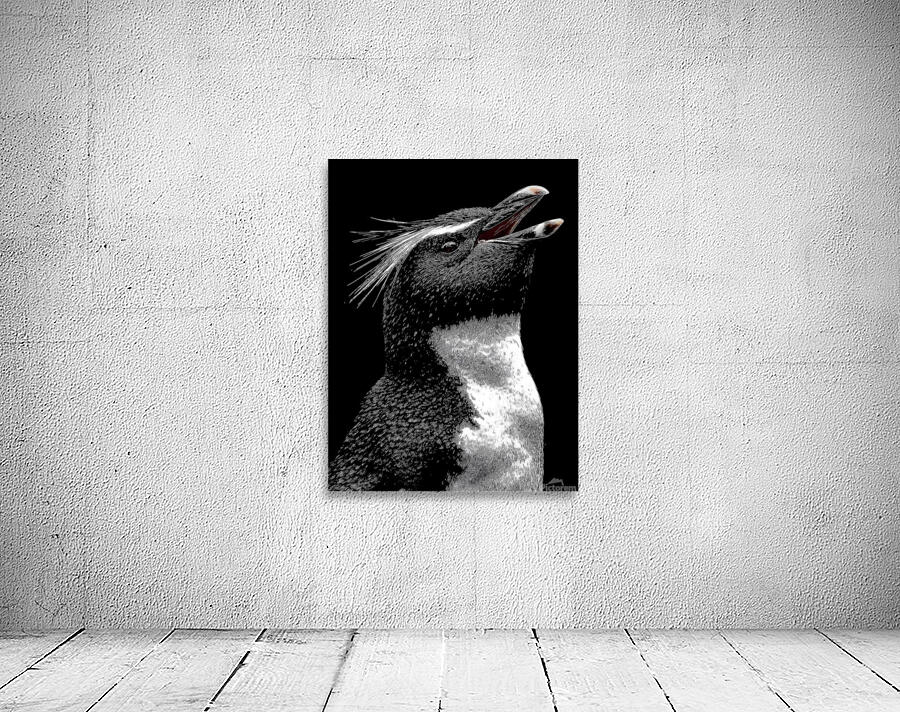 Cry of the Rockhopper – Modern Wildlife Print Wall Preview