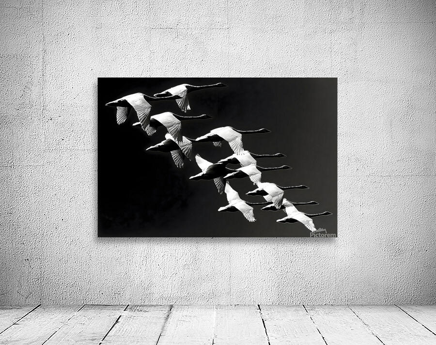 Flight Code – Geese Formation Print Wall Preview