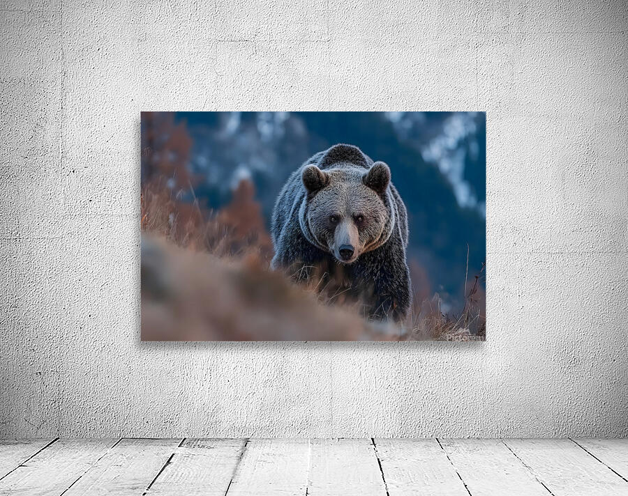 Alpine Titan – Grizzly Bear Print Wall Preview