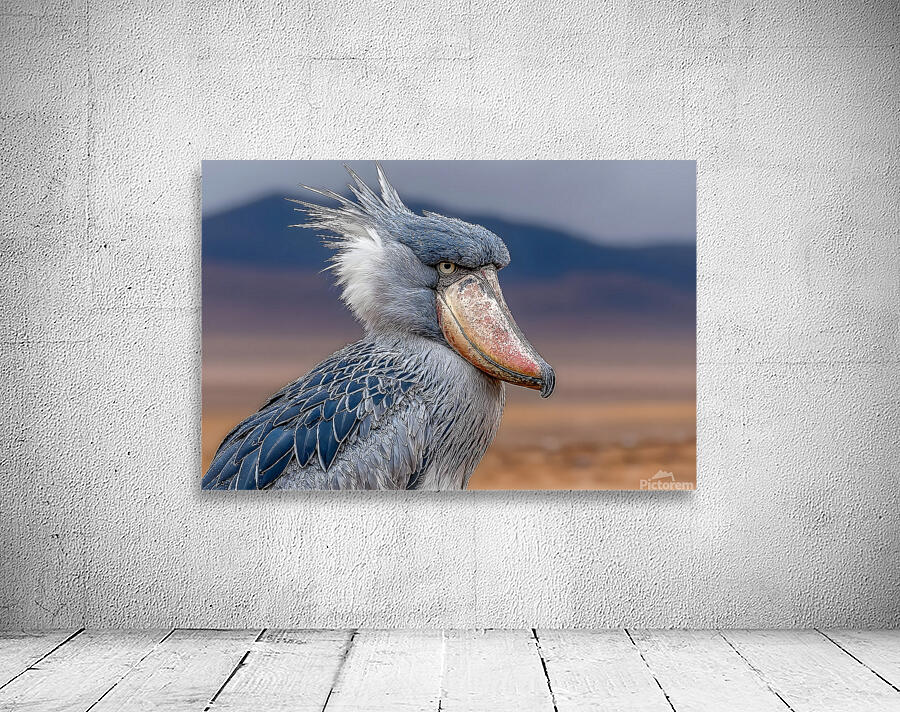 Iron Beak – Shoebill Stork Print Wall Preview
