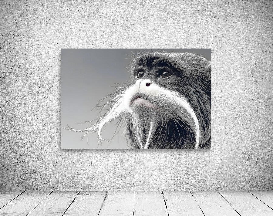 Emperor’s Gaze – Emperor Tamarin Monkey Portrait Print Wall Preview