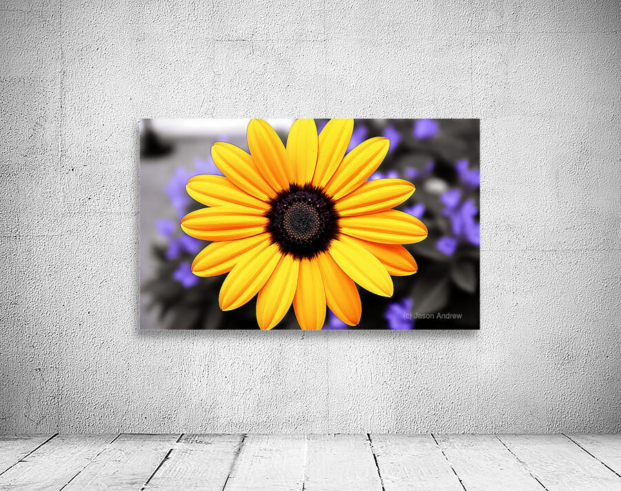 Golden Spirit – Yellow Bloom with Violet Shadows Wall Preview