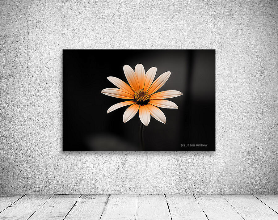 Amber Echo – Warm Toned Floral Minimalist Print Wall Preview