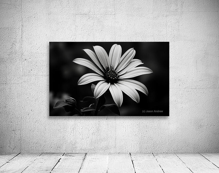 Twilight Petals – Black and White Floral Portrait Wall Preview