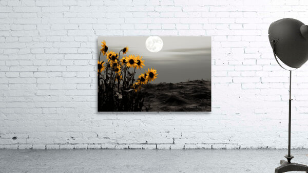 Harvest Moon – Golden Sunflowers by Moonlight Print Wall Preview
