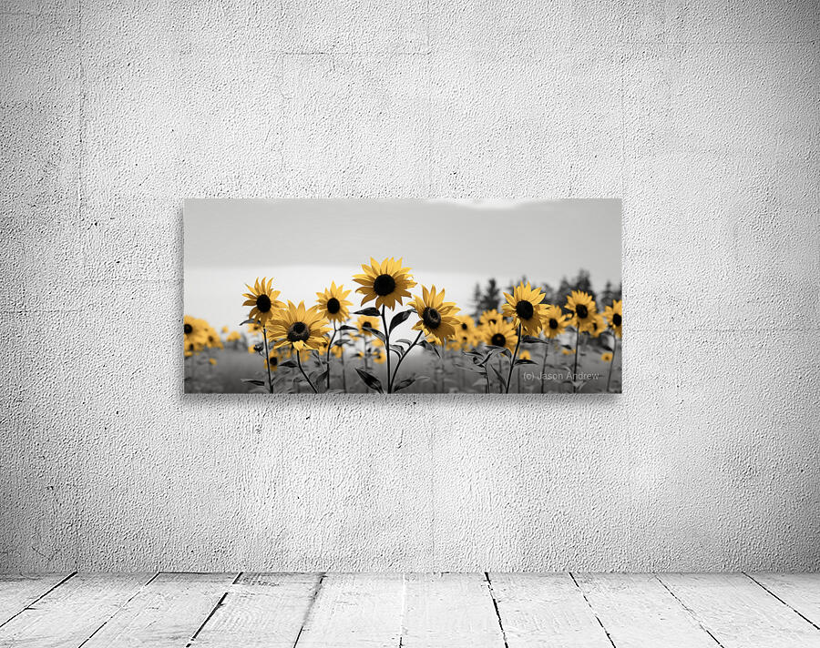Blue Horizon Bloom – Sunflowers by the Sea Print Wall Preview