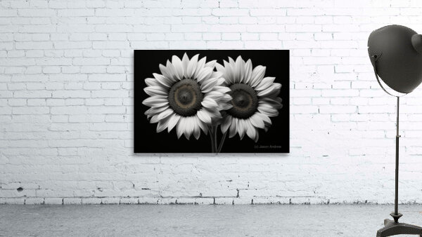 Twin Souls – Monochrome Sunflower Pair Print Wall Preview