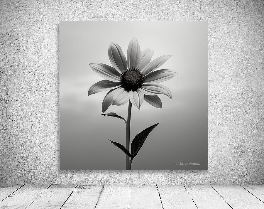Solitary Grace – Monochrome Sunflower Portrait Print Wall Preview