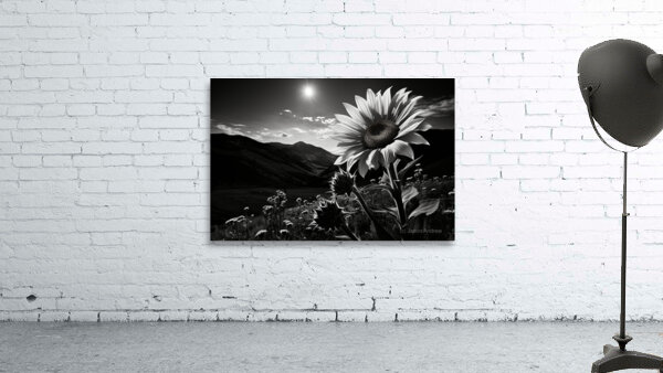 Moonlit Bloom – Night Flower Monochrome Print Wall Preview
