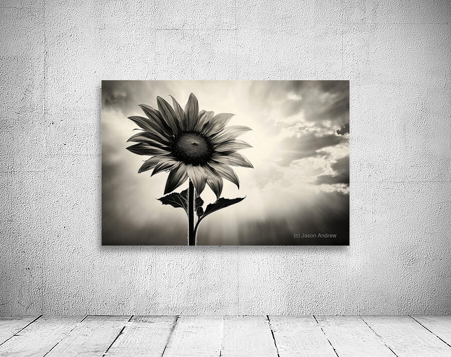 Standing Tall – Sunflower Monochrome Landscape Print Wall Preview
