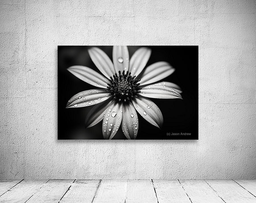 Shadow Petals – Monochrome Floral Elegance Print Wall Preview