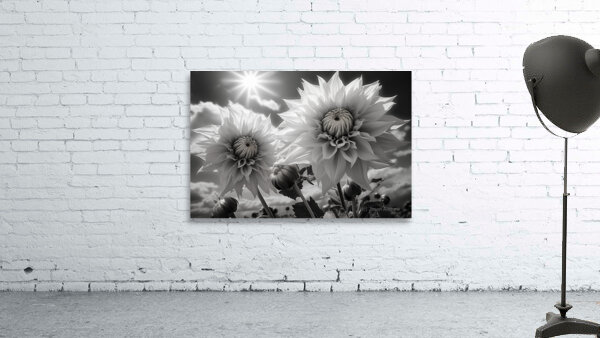 Silver Petals – Black & White Daisy Art Print Wall Preview