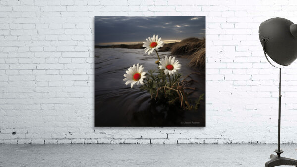 Shoreline Daisies – Coastal Botanical Art Print Wall Preview