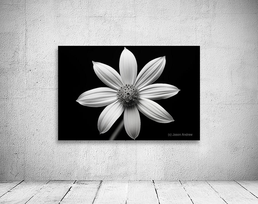 Obsidian Bloom II – Minimal Floral Print Wall Preview