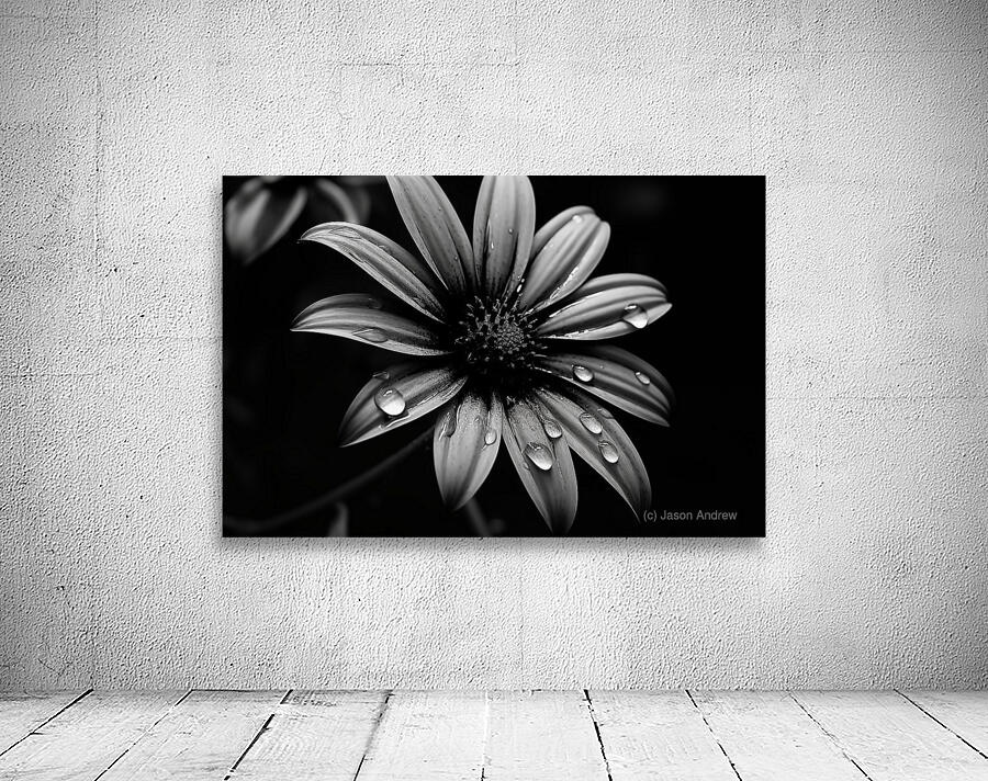 Obsidian Bloom I – Graphic Floral Print Wall Preview