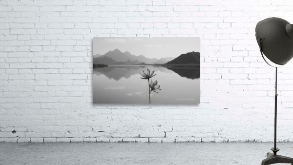 Desert Sunflower – Stormfront Monochrome Landscape Print Wall Preview