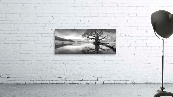 Reflection Tree – Landscape in Black & White Print Wall Preview