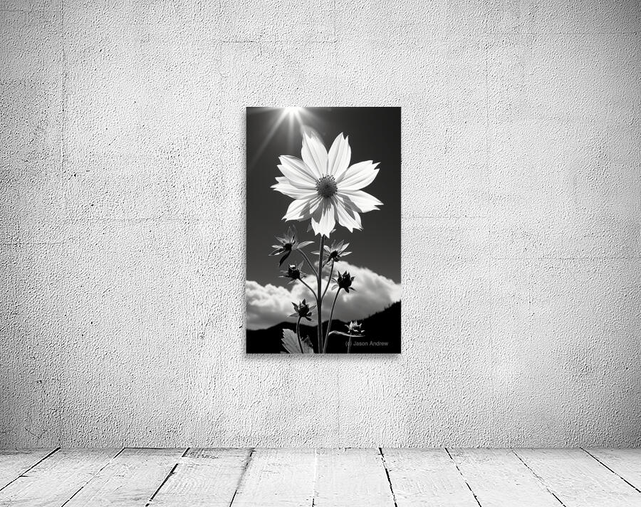Posture – Minimal Daisy Monochrome Art Print Wall Preview
